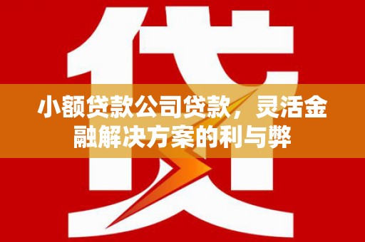 塔什库尔干塔吉克小额贷款公司贷款，灵活金融解决方案的利与弊