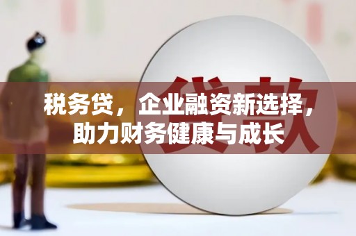 塔什库尔干塔吉克税务贷，企业融资新选择，助力财务健康与成长